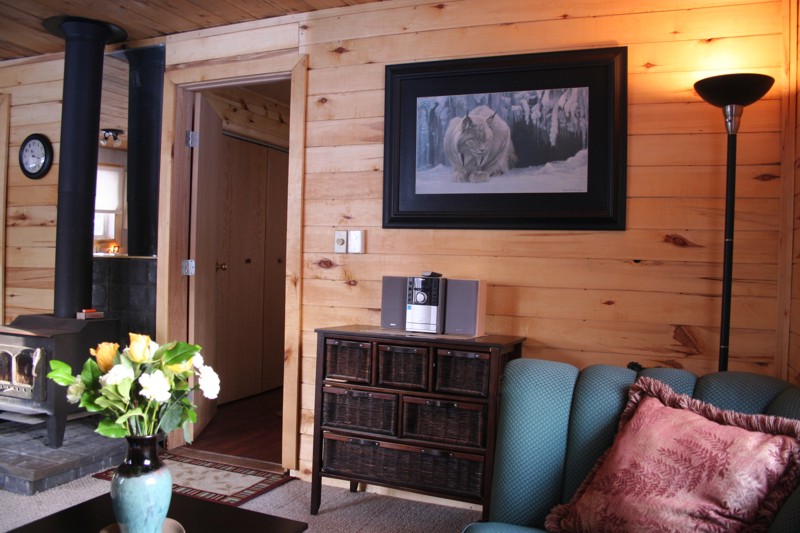 Kokopelli Cabin