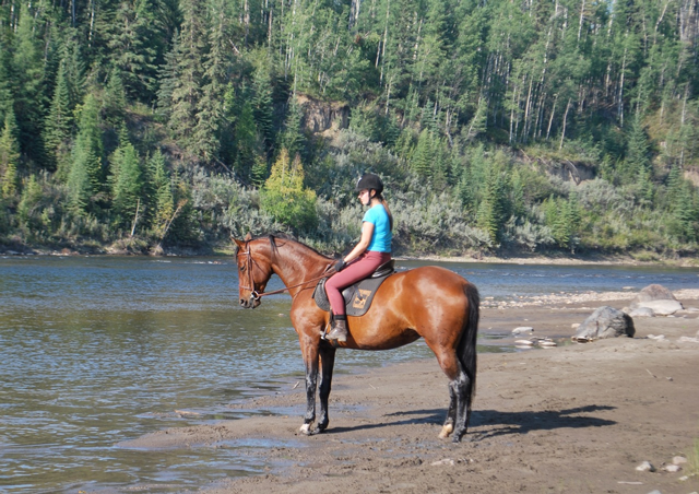Summertime, and the livin is easy