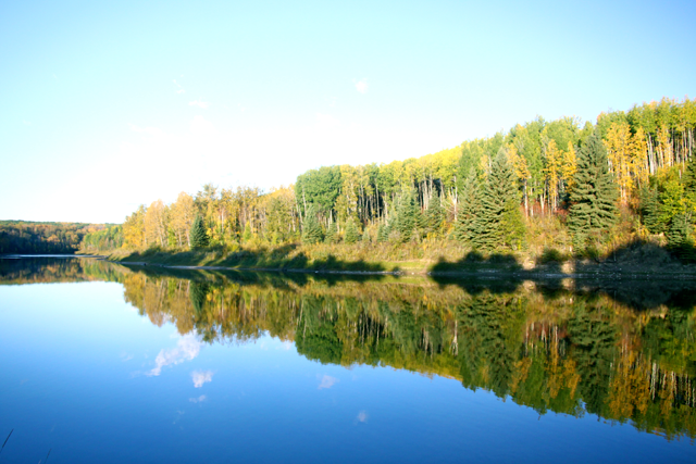 Crystalline beauty in early autumn