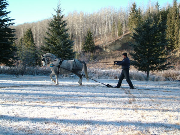 Fun in Winter
