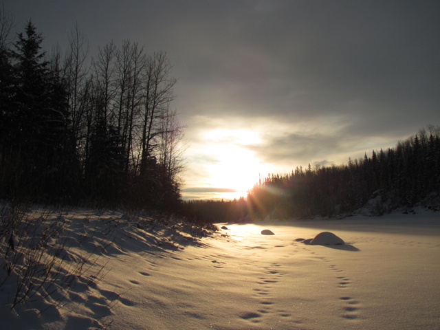 Winter Wonderland